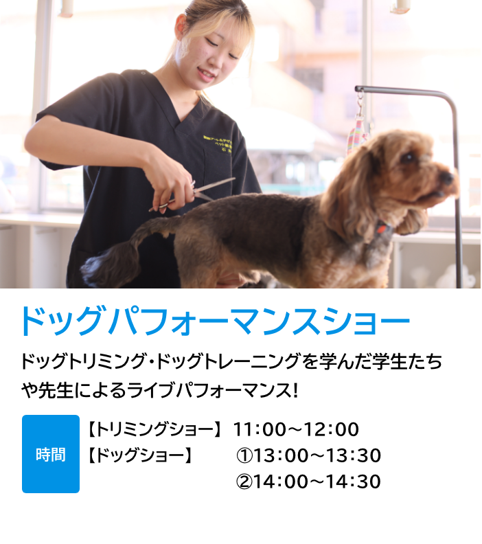 ドッグパフォーマンスショー