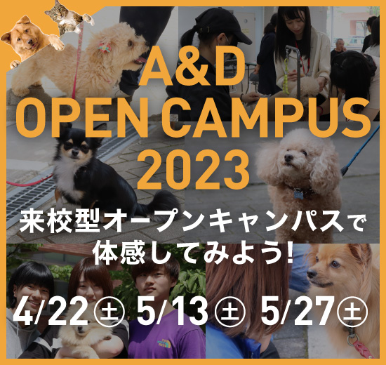 A&D OPEN CAMPUS