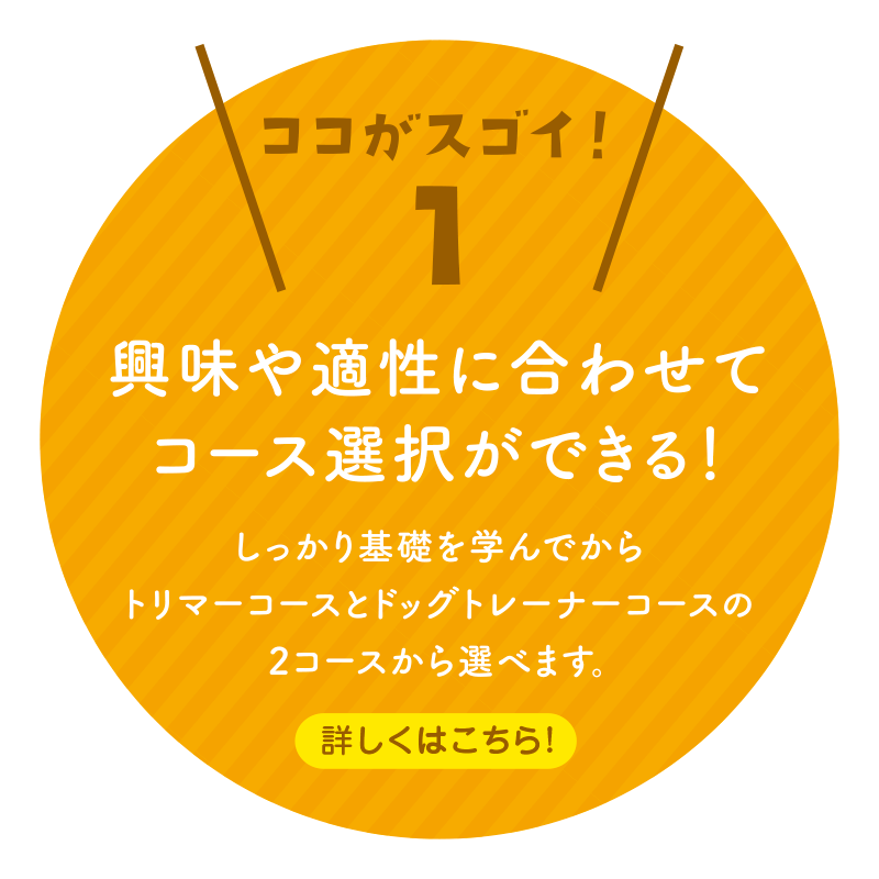 ＼ココがスゴイ！1／興味や適性に合わせてコース選択ができる！