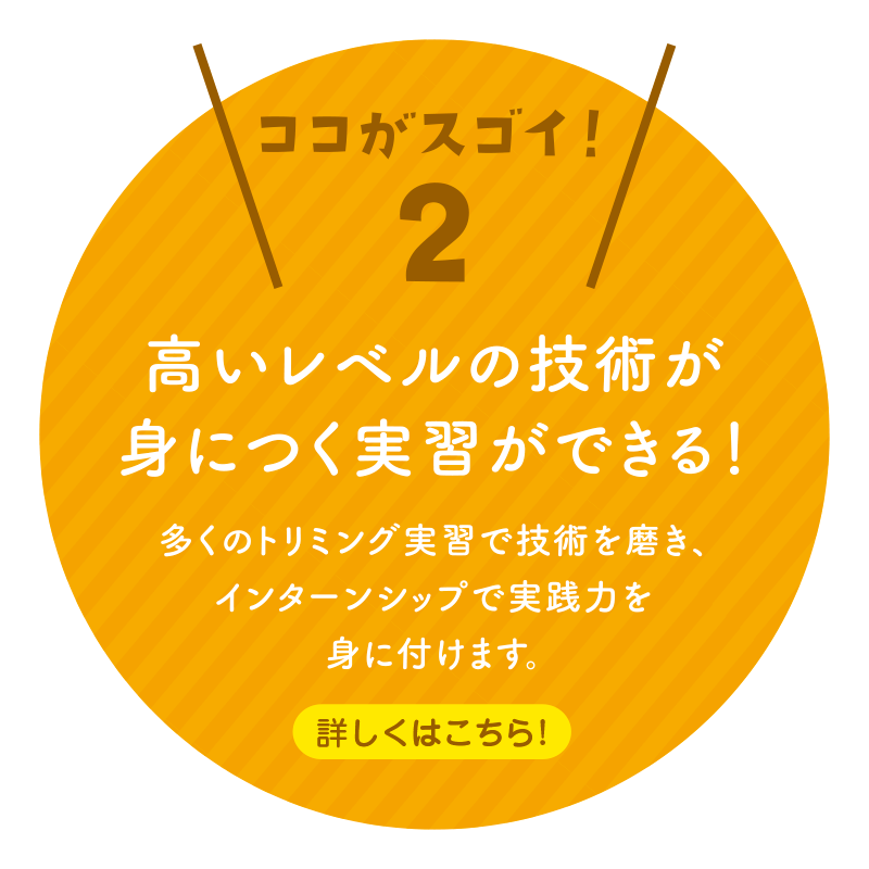 ＼ココがスゴイ！2／高いレベルの技術が身につく実習ができる！