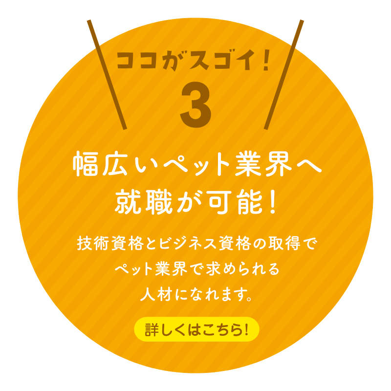 ＼ココがスゴイ！3／幅広いペット業界へ就職が可能！