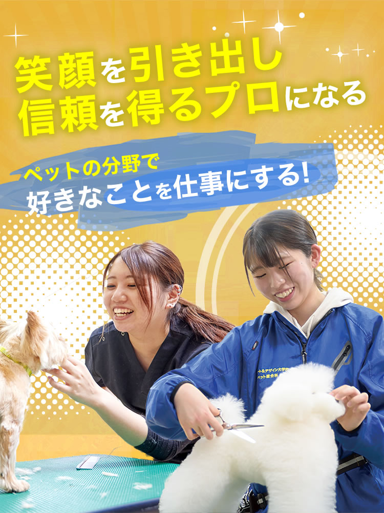 ペット総合科top A D 国際アート デザイン大学校