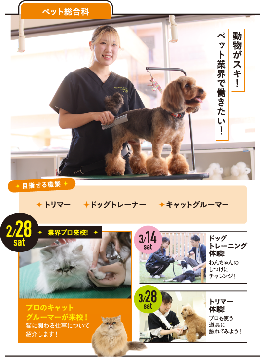 ペット総合科