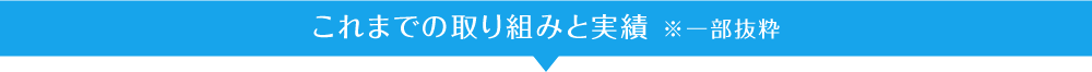 これまでの取り組みと実績