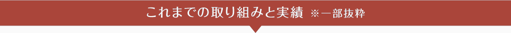 これまでの取り組みと実績