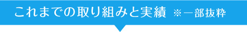 これまでの取り組みと実績